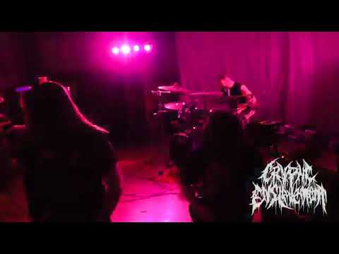 Cryptic Enslavement Live Sinned Cover @ Diecember VIII