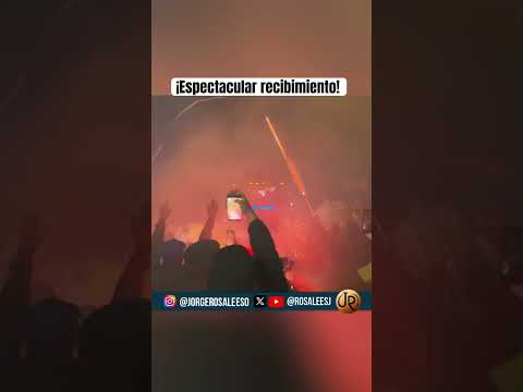 "Espectacular recibimiento a Tigres." Barra: Libres y Lokos &bull; Club: Tigres