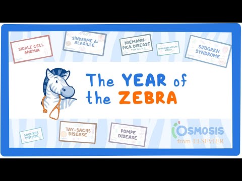 Achalasia Year of the Zebra