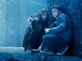 Harry Potter Sirius Black Get Away From My Godson