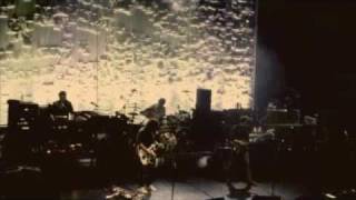 WILCO bull black nova live @ ferrara.m4v