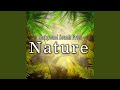 Nighttime Jungle With Dense Cicadas Crickets And Frogs