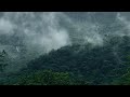 Morning Vibes Whatsapp Status Traveling Whatsapp Status Nature Whatsapp Status Tamil Travel Status