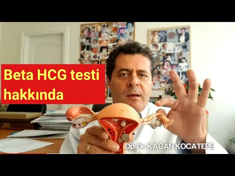 Beta HCG kanda gebelik testi ilişkiden sonra en erken ne zaman yapılır, kaç çıkarsa gebelik  vardır?