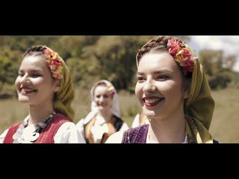 Dušan Antić - Medena frula 1 (Official video)