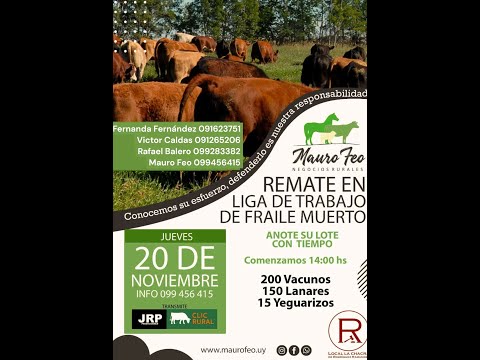 20/11/2025 Liga de trabajo de Fraile Muerto - Cerro Largo - Feria Mensual - Mauro Feo