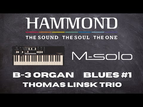 Hammond M-solo B-3 type Organ Video Demo Blues #1