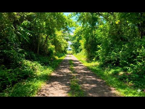 El Salvador Por Dentro 🇸🇻 Santa Elena
