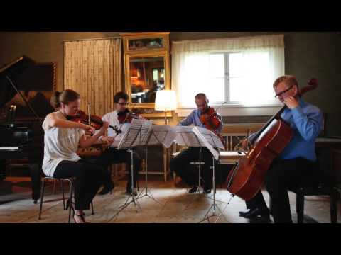 Jean Sibelius : Quartet in D minor op.56 II movement Vivace by Kamus Quartet