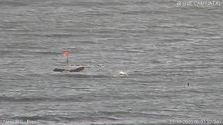 ナタール市ポンタ・ネグラ海岸