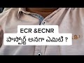 What is ECR & ECNR Passport  ? Telugu #gulfbabai