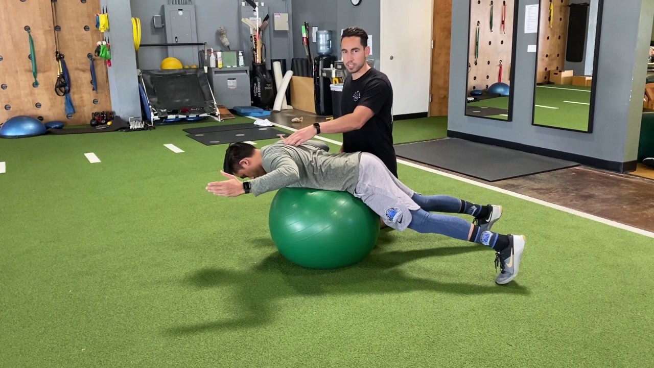 Shoulder Stability: Physioball Y', W's & T's