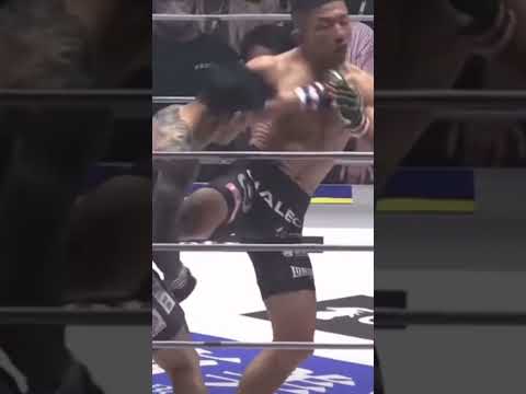 金太郎選手のカウンターがエグすぎる！#格闘技 #rizin #mma #総合格闘技 #おもしろ動画 #堀口恭司 #金太郎