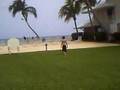 Cayman Island Hair Pulling Black Bird Attack