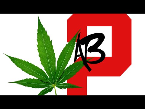 Joe Fire - W.A.B 2 (WeedAffeburn2) [Audio]