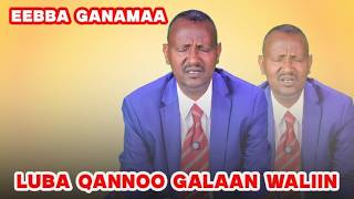 Eebba Ganamaa Luba Qannoo Galaan Waliin / 781