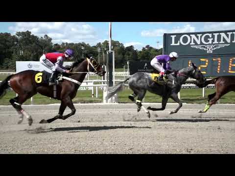 221106 c03 LA RETIRADA