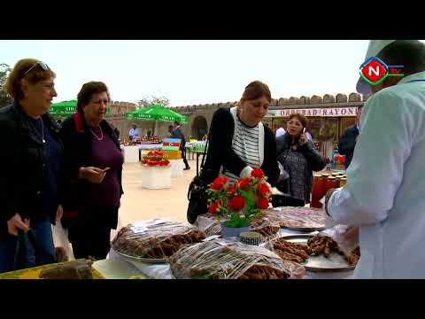 Ailə təsərrüfatları - 19.10.2022