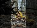 Das Ist So Gruselig Shorts Viralshorts Film