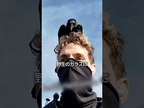 カラス軍団を使ってお金を集める💰