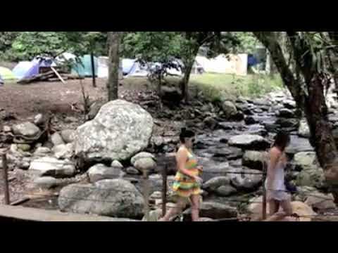 Coisa de Zé - Forró na Ilha