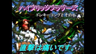 ドンキーコング２_その8[ハイブリッジブラザーズ]