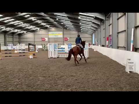 F-One USA 2015 Stallion First Show