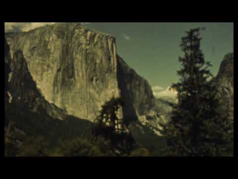 The Vision Reels - A New World Made From Light (Foresight)