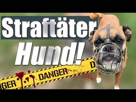 Gefährliche Hunde und ihre Opfer... hör genau zu!!!