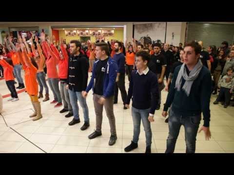 "I Will Survive" Vocal Flash Mob