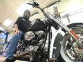 Harley Davidson 2009 Soft Tail Deluxe