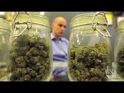 Il-Qorti tikkritika l-liġi riformata dwar id-droga