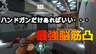 【VALORANT】ハンドガン一丁でACEをとるまさかの神プレイ！?配信切り抜き集（2021 04 27～2021 04 28）