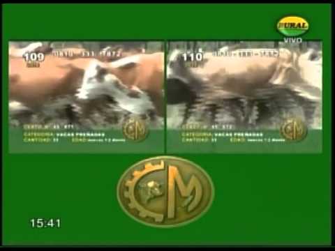 29-10-15 Ventas de Colombo y Magliano por T.V. ( Parte 3 ) - Entre Surcos y Corrales.