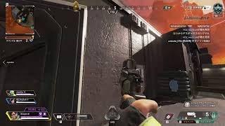 立ち回りがわからんので取り敢えず突撃（apex）