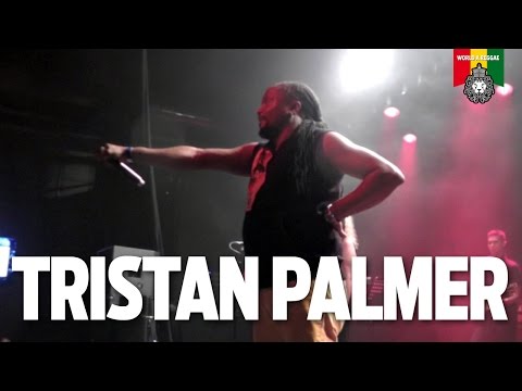 Tristan Palmer Live at Reggae Central Dordrecht, NL