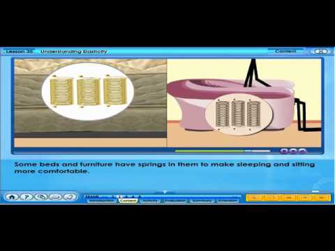 Understanding Elasticity (F4 C2 L35)