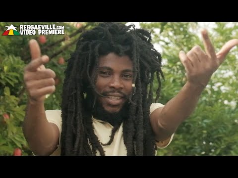 Canned Beets, Big Sugar & The Grei Show - The Vibe [Official Video 2022]