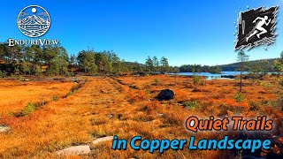 🌇 Quiet Trails in Copper Landscape 🏃