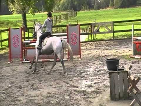 Utopia (v. Florestan I)