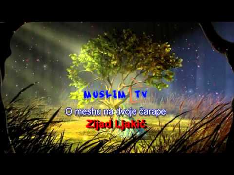 O meshu na dvoje čarape - mr. Zijad Ljakic