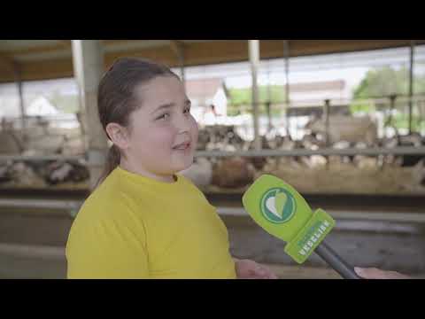 Finalisti Naj kmetije 2021 - kmetija Pr’ Kržaj