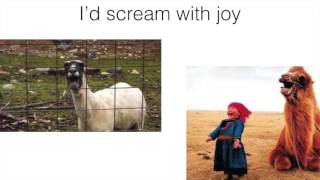 Boiled Okra and Spinach by Trout Fishing In America