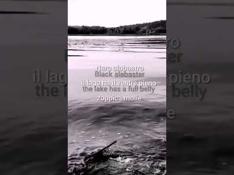 Gianluca Roscio - Live Session - Haiku Sound (Water Series) pg.4 feat. Paolo Roscio