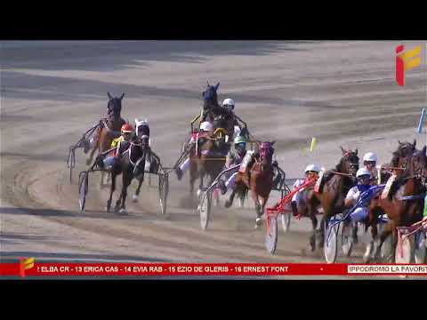 II Corsa del 28 Giugno 2023 - 3 Anni - Metri 2000