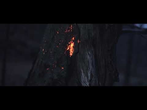 y2mate com   projections in the forest PZwS N0 j7E 1080p