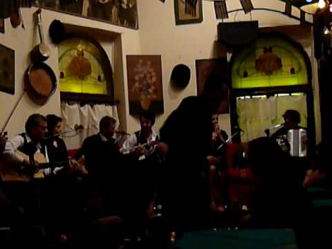 Antwnhs Ainiths - TO POULI