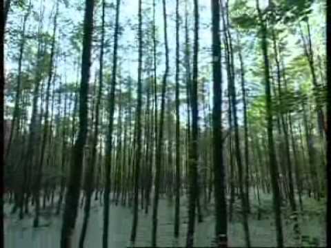 Ostpreussen_Ermland_und_Masuren_4028032068016