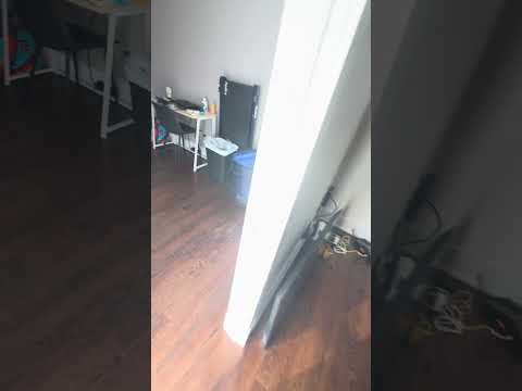 video 1