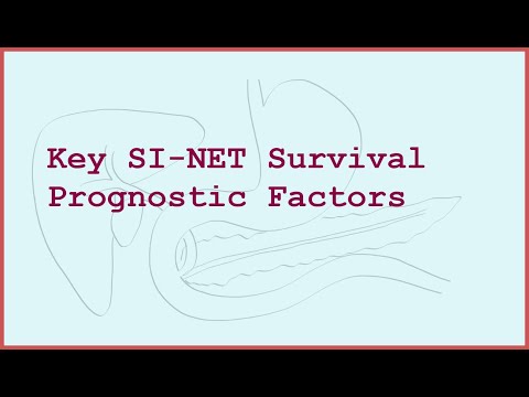 Prognostic Factors in Small Intestine NETs: What Determines Your Survival